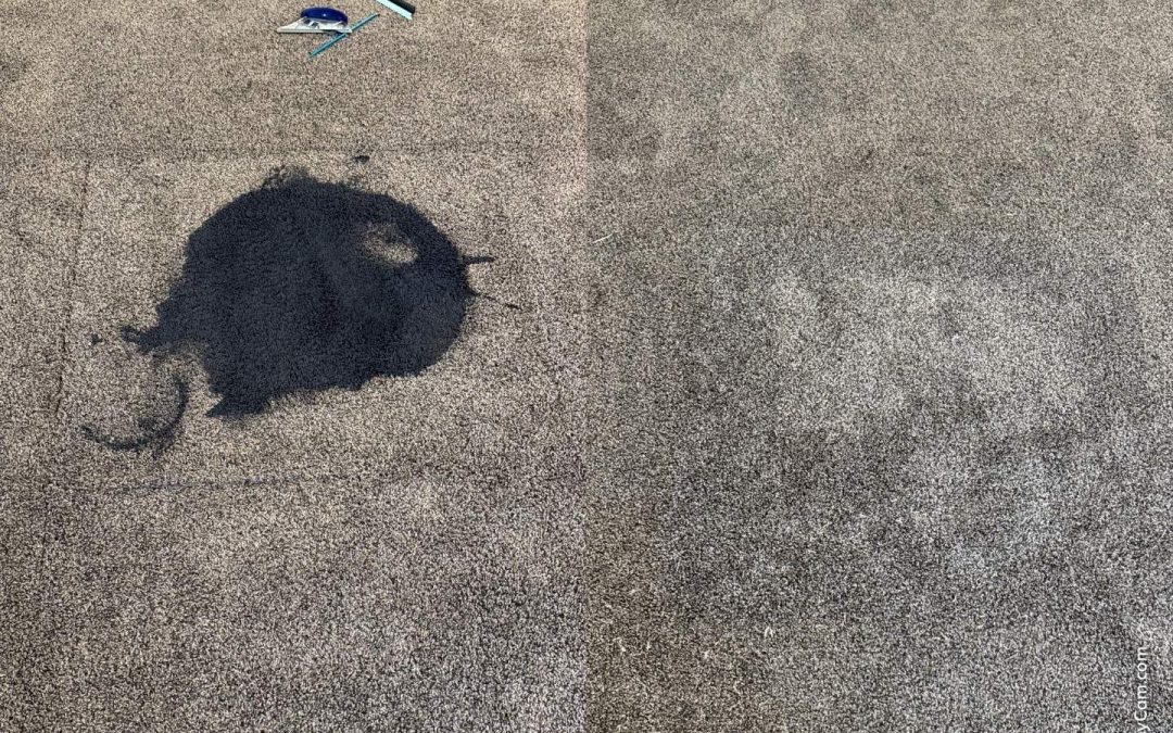 Carpet Repair for Paint Spills in surprise