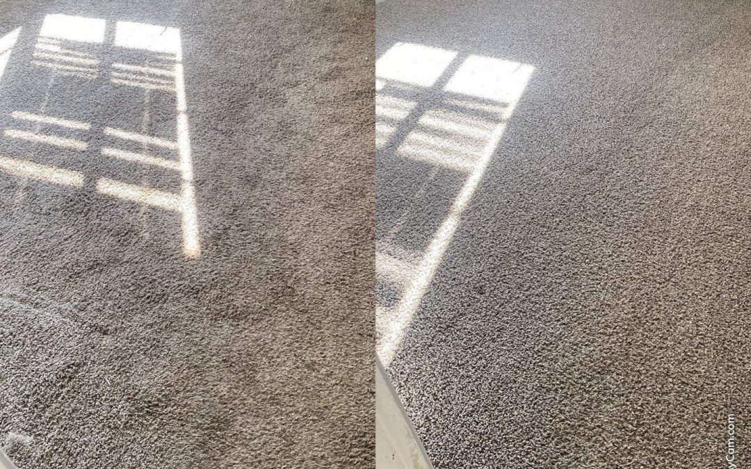 Professional Carpet Cleaning Services in Mesa, AZ